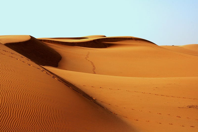 Desert Safari at Sunset