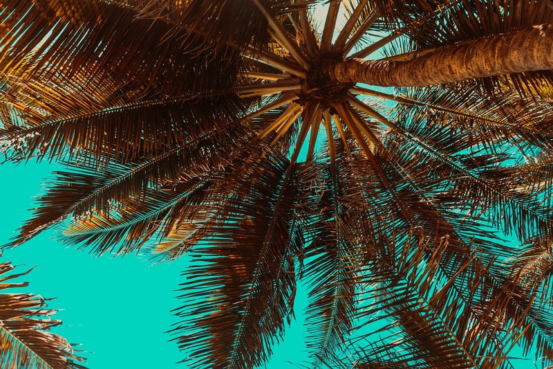 Tropical Island Getaway